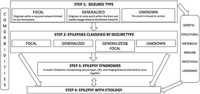 Targeting Inflammatory Mediators in Epilepsy: A Systematic Review of Its Molecular Basis and Clinical Applications